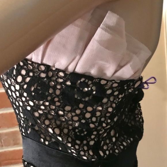 NWOT Modcloth | Mystic | Crochet Overlay Black Dress | Pink Ruffle Above Bodice - Picture 5 of 11